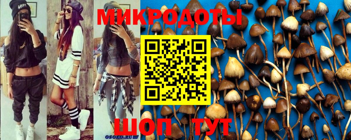 Псилоцибиновые грибы GOLDEN TEACHER Ликино-Дулёво
