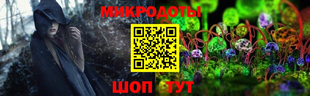 купить закладку  Псилоцибиновые грибы Psilocybine cubensis  Вход с VPN  Галлюциногенные грибы ЛСД  Ликино-Дулёво 